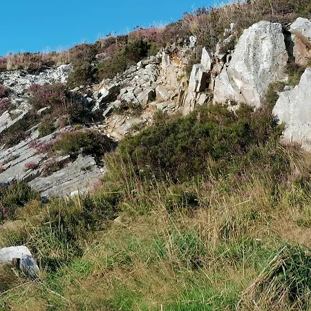 Les Hauts Vents *